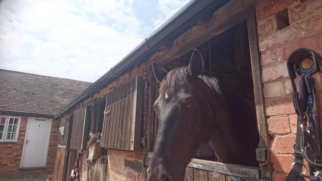Church Farm Farm stay