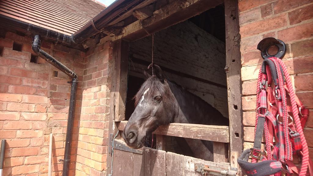 Church Farm Farm stay